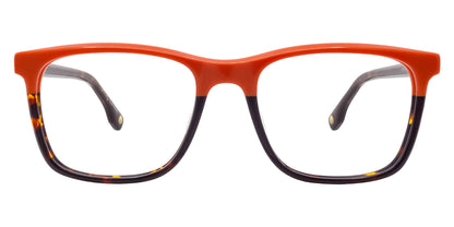 JP0031